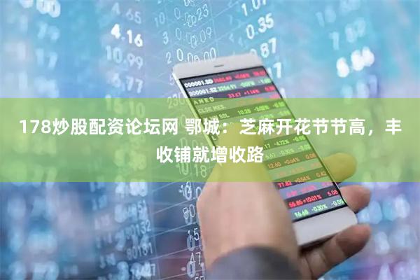 178炒股配资论坛网 鄂城：芝麻开花节节高，丰收铺就增收路